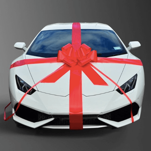 Giant Car Bow Red